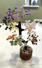 Load image into Gallery viewer, Natural Seven Chakra Crystal Types Gemstones Tree Inc Chakra Stones Wood Base