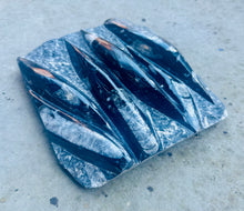 Load image into Gallery viewer, New! Orthoceras Fossil Slab - Natural & Unique