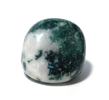 Load image into Gallery viewer, Moss Agate Natural Polished Crystal Tumble Stone