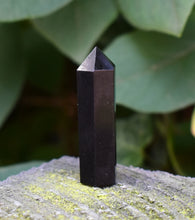 Load image into Gallery viewer, Black Tourmaline Crystal Terminated Point |Reiju