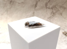Load image into Gallery viewer, Black Obsidian Natural Crystal Stone Carved Arrowhead (Dragon Glass)