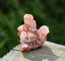 Load image into Gallery viewer, Aragonite Sputnik Raw Crystal