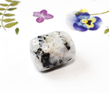 Load image into Gallery viewer, Rainbow Moonstone Tumble Stone