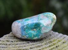 Load image into Gallery viewer, Chrysocolla Natural Healing Crystal Polished Tumble Stone