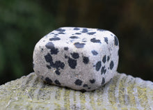 Load image into Gallery viewer, Dalmatian Jasper Natural Crystal Tumble Stone |Reiju