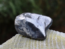 Load image into Gallery viewer, Shungite Crystal Tumble Stone