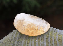 Load image into Gallery viewer, Citrine Polished Tumble Stone - Attract Financial Wealth and Abundance |Reiju