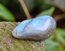 Load image into Gallery viewer, Labradorite High Grade Crystal Tumble Stone