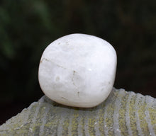 Load image into Gallery viewer, Rainbow Moonstone Tumble Stone