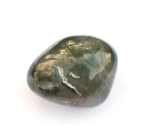 Load image into Gallery viewer, Moss Agate Natural Polished Crystal Tumble Stone