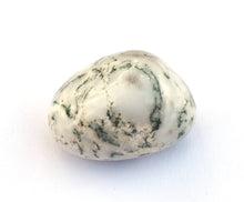 Load image into Gallery viewer, Moss Agate Natural Polished Crystal Tumble Stone