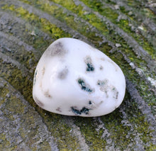 Load image into Gallery viewer, Moss Agate Natural Polished Crystal Tumble Stone