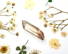 Load image into Gallery viewer, Golden Healer Quartz Natural & Unique Raw Crystal Stone Point Piece 10g
