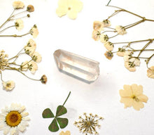 Load image into Gallery viewer, Golden Healer Quartz Natural & Unique Raw Crystal Stone Point Piece 10g