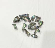 Load image into Gallery viewer, Abalone Shell Tumbled Piece 2cm