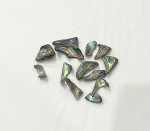 Abalone Shell Tumbled Piece 2cm