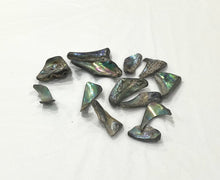 Load image into Gallery viewer, Abalone Shell Tumbled Piece 2cm