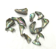 Load image into Gallery viewer, Abalone Shell Tumbled Piece 2cm