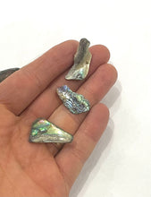 Load image into Gallery viewer, Abalone Shell Tumbled Piece 2cm