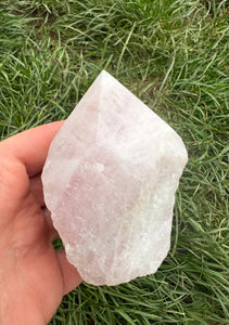 New! Rose Quartz Polished Crystal Point Piece |Reiju