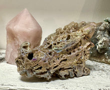 Load image into Gallery viewer, Druzy Aura Sphalerite Crystal Dragon Head