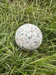 New! Dalmatian Jasper Large Crystal Sphere Ball Stone Inc Stand - Natural & Unique |Reiju