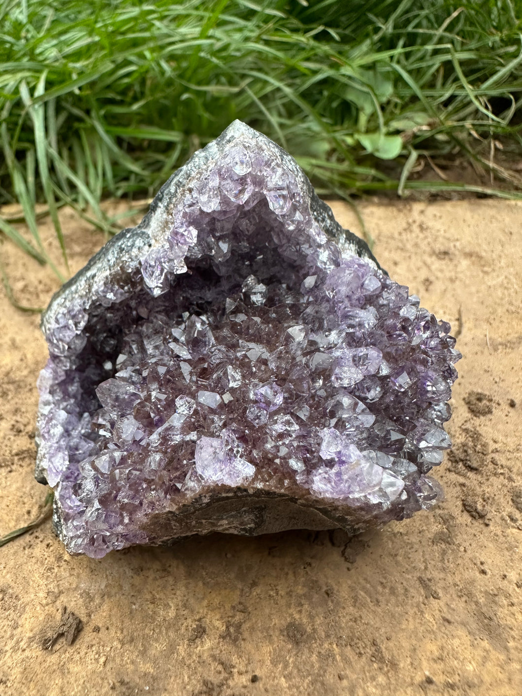 New! 💜 Natural & Unique Druzy Amethyst Crystal Cluster |Reiju