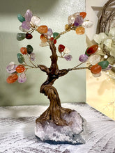 Load image into Gallery viewer, Chakra Crystal Gemstones Tree with Amethyst Base