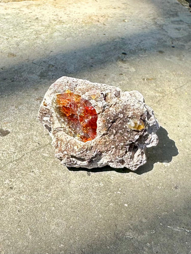 New! Raw Amber Piece - Natural & Unique