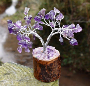 Amethyst Small Crystal Gemstone Tree