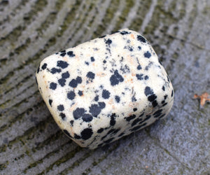 Dalmatian Jasper Crystal Tumble Stone