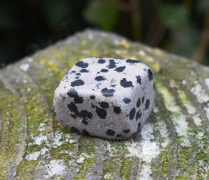 Dalmatian Jasper Crystal Tumble Stone