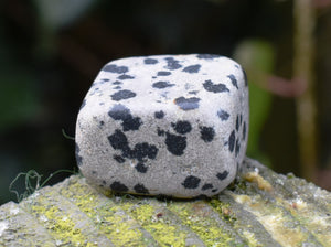 Dalmatian Jasper Crystal Tumble Stone