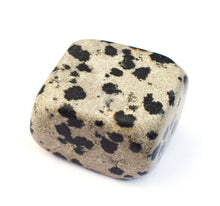 Load image into Gallery viewer, Dalmatian Jasper Crystal Tumble Stone