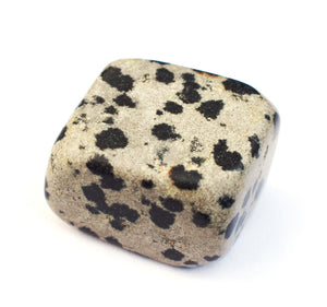 Dalmatian Jasper Crystal Tumble Stone