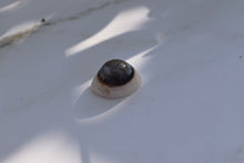Load image into Gallery viewer, Agate Shiva Eye Crystal - Small