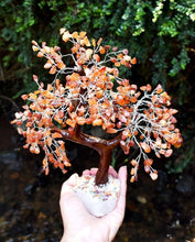 Load image into Gallery viewer, Large Carnelian Crystal Stone Wire Wrapped Gemstone Tree With Crystal Base