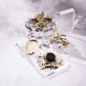 Cleansing Natural White Sage, Charcoal & Abalone Shell Smudge Burning Kit