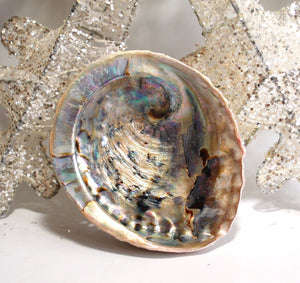Natural Abalone Shell Crystal Decorative Bowl Dish Accessory Gift Wrapped - Krystal Gifts UK