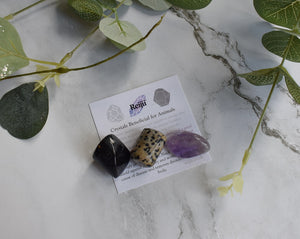"Crystals For Animals" Tumble Stone Set Reiki Charged